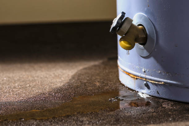 Best Commercial water damage restoration  in Hamburg, NJ