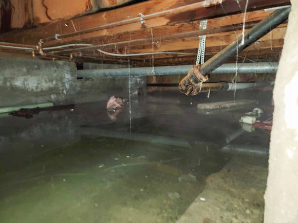 Best Local water damage restoration  in Hamburg, NJ