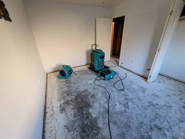 Best Water damage restoration near me  in Hamburg, NJ