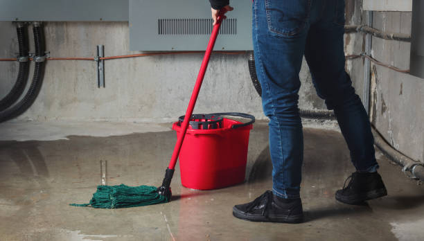 Best Ceiling water damage repair  in Hamburg, NJ