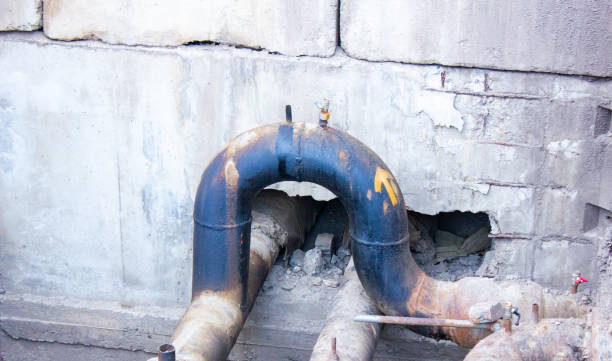 Best Water damage restoration near me  in Hamburg, NJ